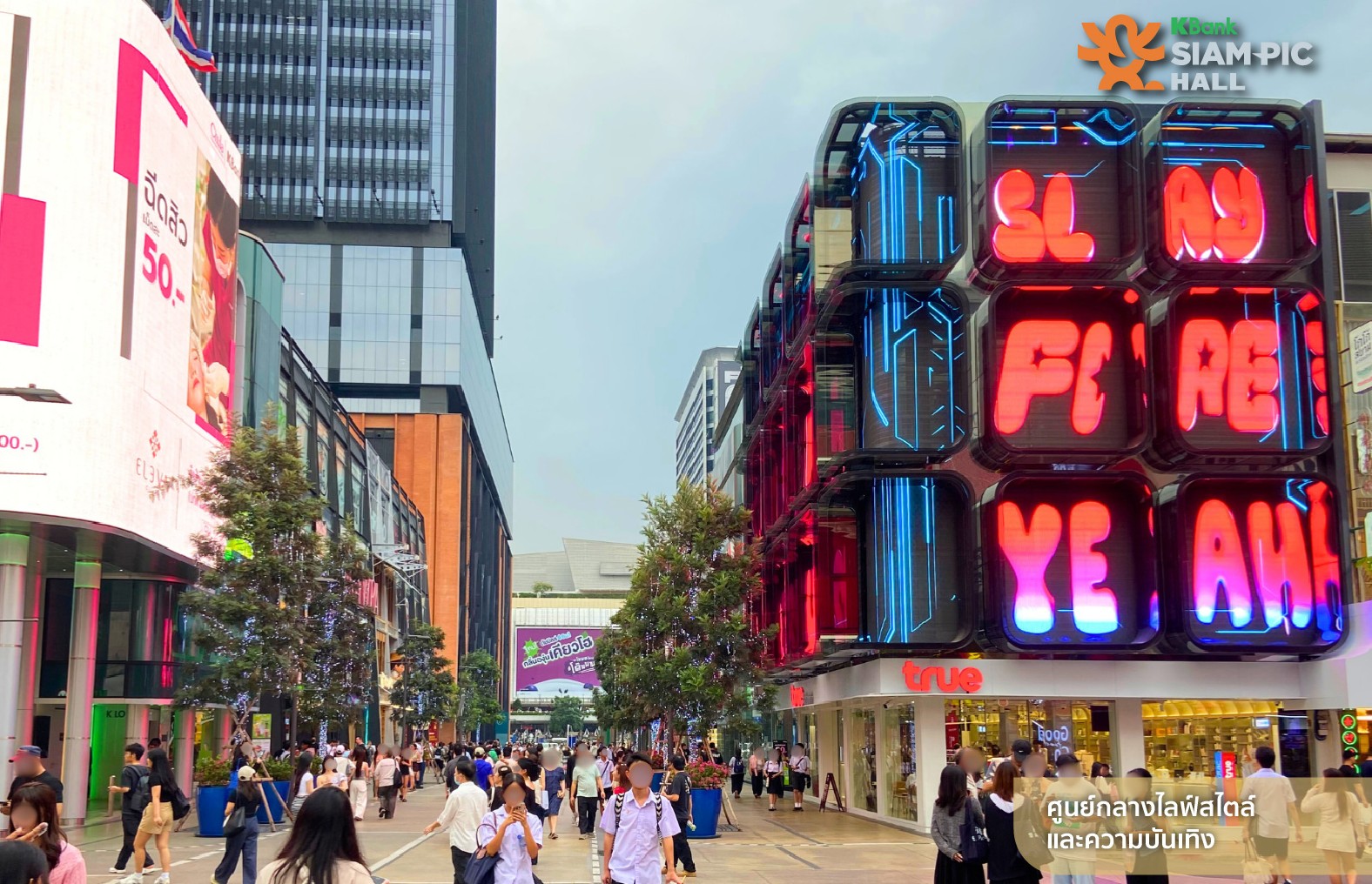 ฮอลล์ใจกลางเมือง